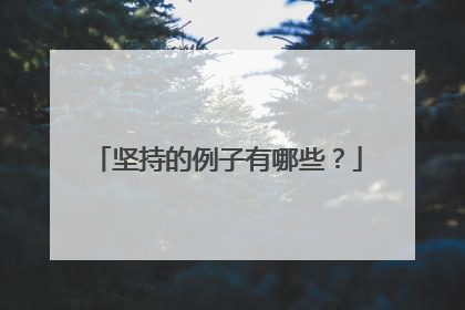 坚持的例子有哪些？