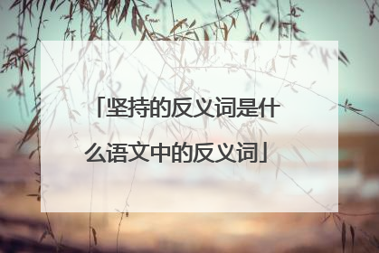 坚持的反义词是什么语文中的反义词