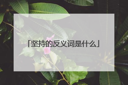 坚持的反义词是什么