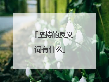 坚持的反义词有什么