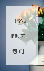 坚持的励志句子