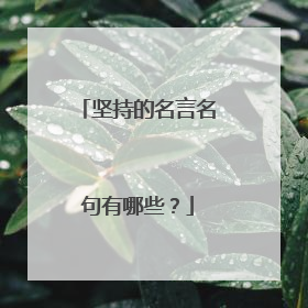 坚持的名言名句有哪些？