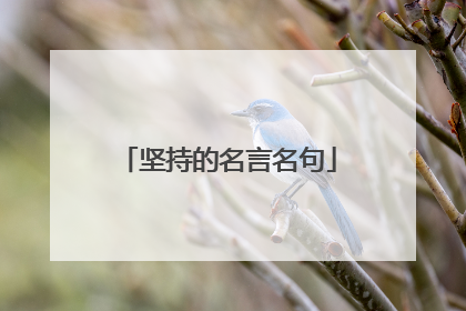 坚持的名言名句