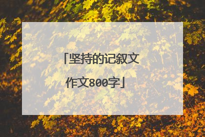 坚持的记叙文作文800字