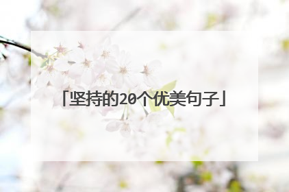 坚持的20个优美句子