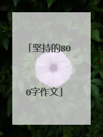坚持的800字作文