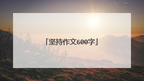 坚持作文600字