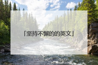 坚持不懈的的英文