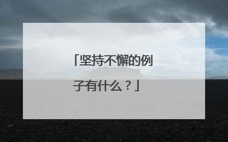 坚持不懈的例子有什么？