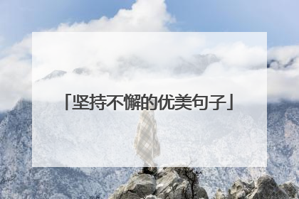 坚持不懈的优美句子