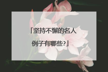 坚持不懈的名人例子有哪些?