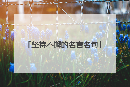坚持不懈的名言名句