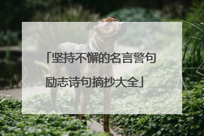 坚持不懈的名言警句励志诗句摘抄大全