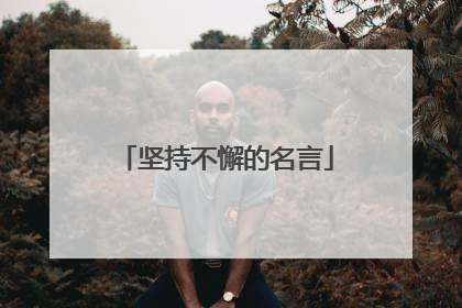 坚持不懈的名言