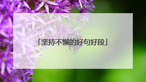 坚持不懈的好句好段