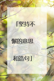 坚持不懈的意思和造句