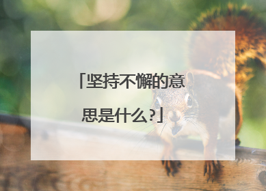 坚持不懈的意思是什么?