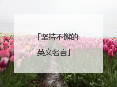 坚持不懈的英文名言