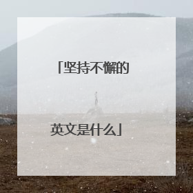 坚持不懈的英文是什么