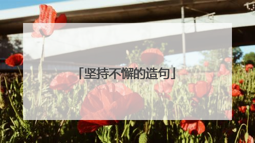 坚持不懈的造句