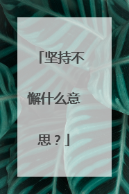 坚持不懈什么意思？