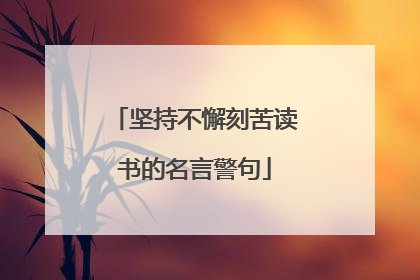 坚持不懈刻苦读书的名言警句