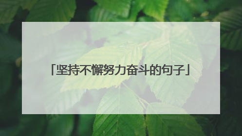 坚持不懈努力奋斗的句子