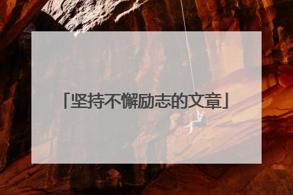 坚持不懈励志的文章