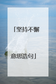 坚持不懈意思造句