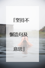 坚持不懈造句及意思