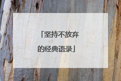 坚持不放弃的经典语录