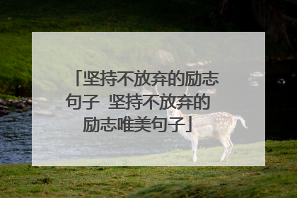 坚持不放弃的励志句子 坚持不放弃的励志唯美句子