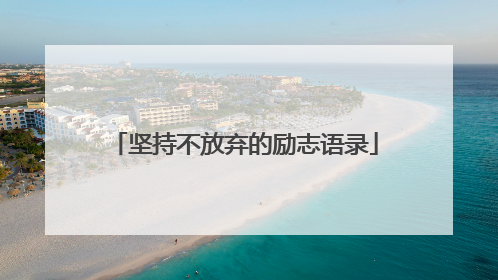 坚持不放弃的励志语录