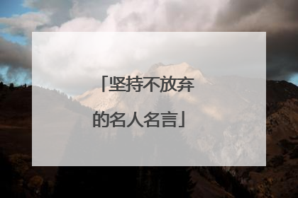 坚持不放弃的名人名言