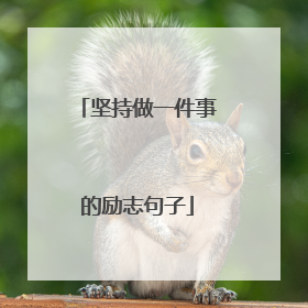 坚持做一件事的励志句子