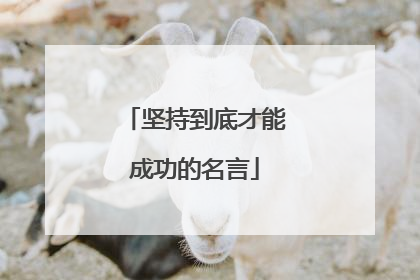 坚持到底才能成功的名言