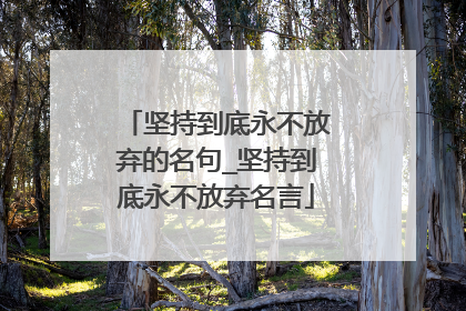 坚持到底永不放弃的名句_坚持到底永不放弃名言