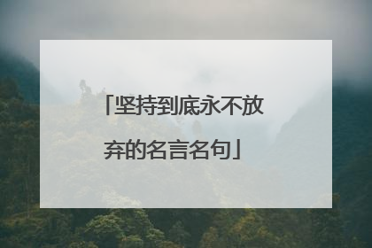 坚持到底永不放弃的名言名句