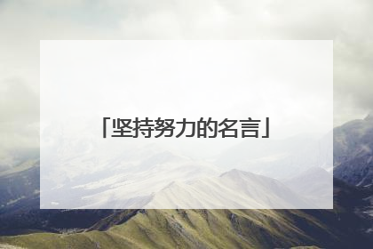 坚持努力的名言