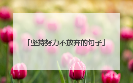 坚持努力不放弃的句子