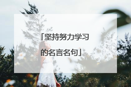 坚持努力学习的名言名句