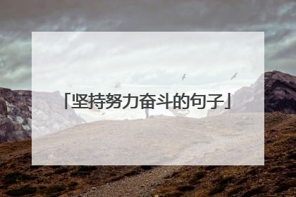 坚持努力奋斗的句子