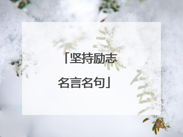 坚持励志名言名句