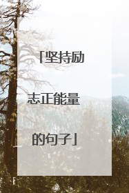 坚持励志正能量的句子