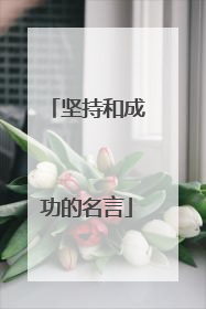 坚持和成功的名言