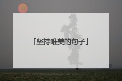 坚持唯美的句子