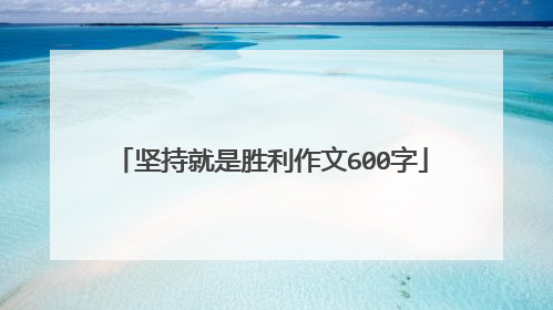 坚持就是胜利作文600字