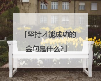 坚持才能成功的金句是什么?