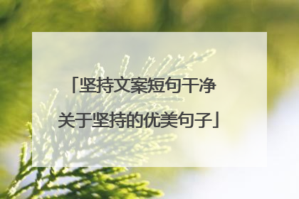 坚持文案短句干净 关于坚持的优美句子