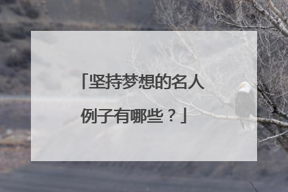 坚持梦想的名人例子有哪些?